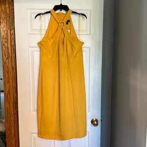 NWT - cocktail dress